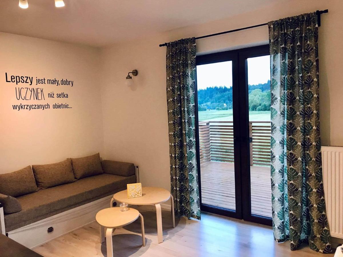 Apartament Przy Potoku Zubrzyca Gorna Esterno foto